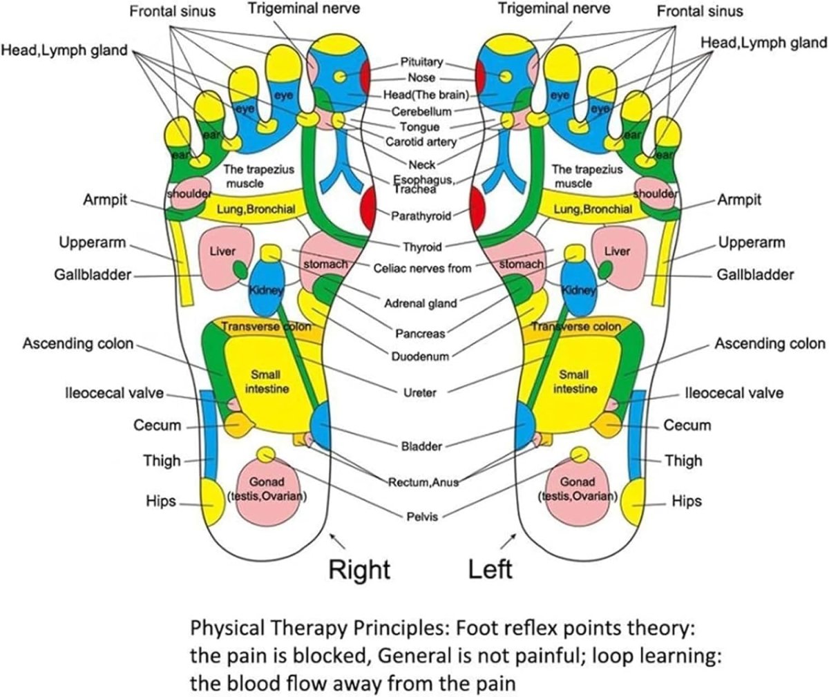 Foot Acupressure Massager - LightsBetter